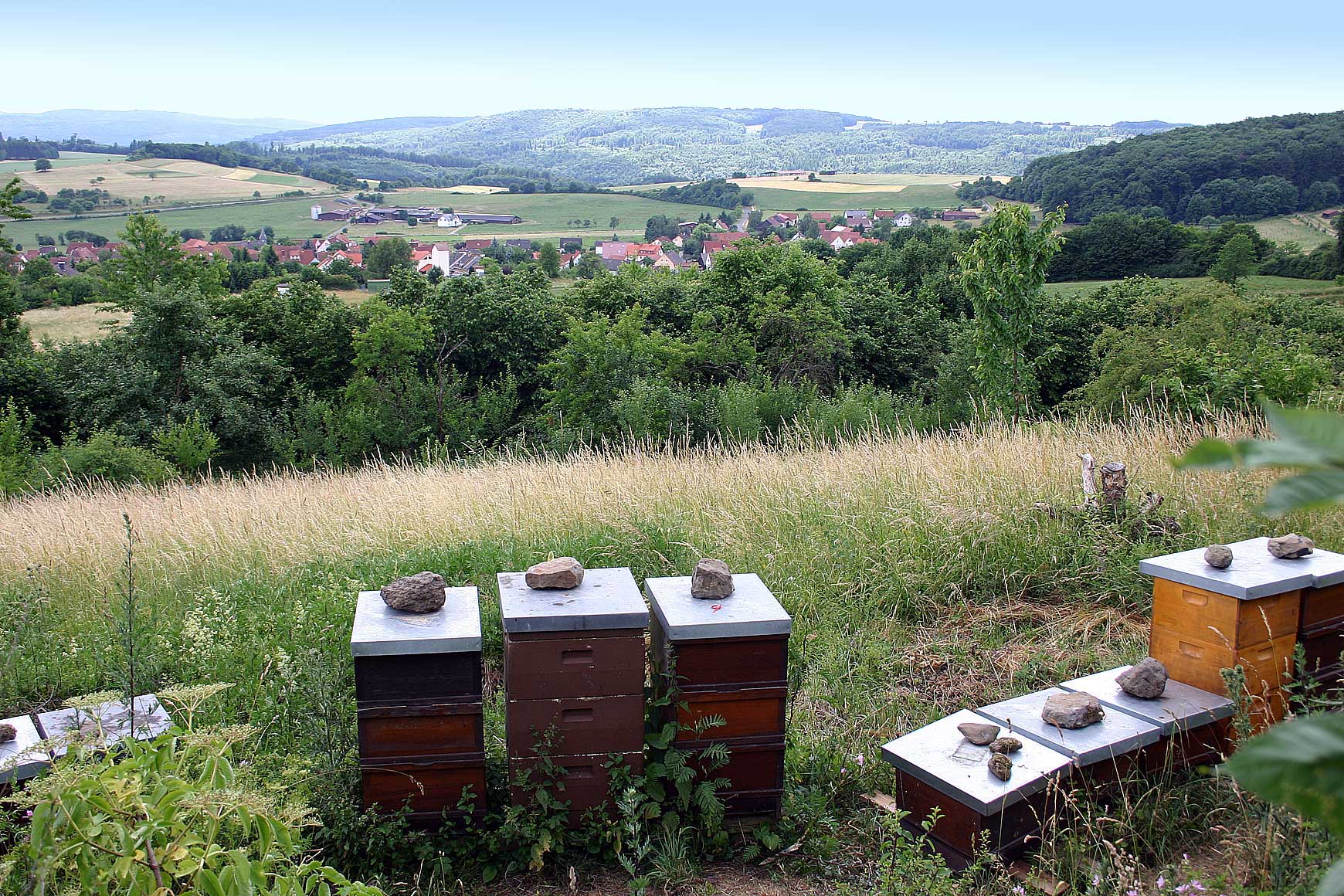 Bienenvölker bei Breitenbach im Bergwinkel